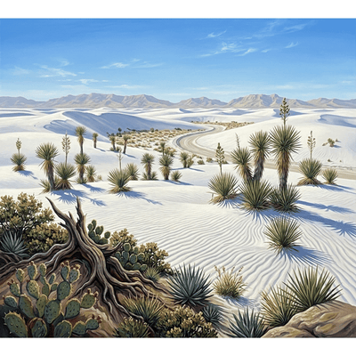 White Sands Desert Afternoon